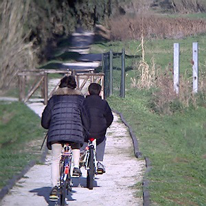 Il docente del futuro